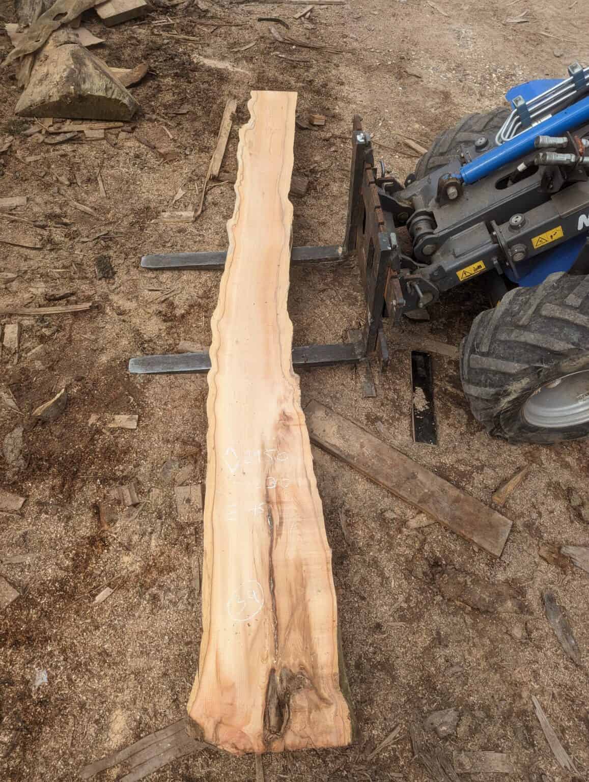 Hampshire Yew Zephyr Sawmills