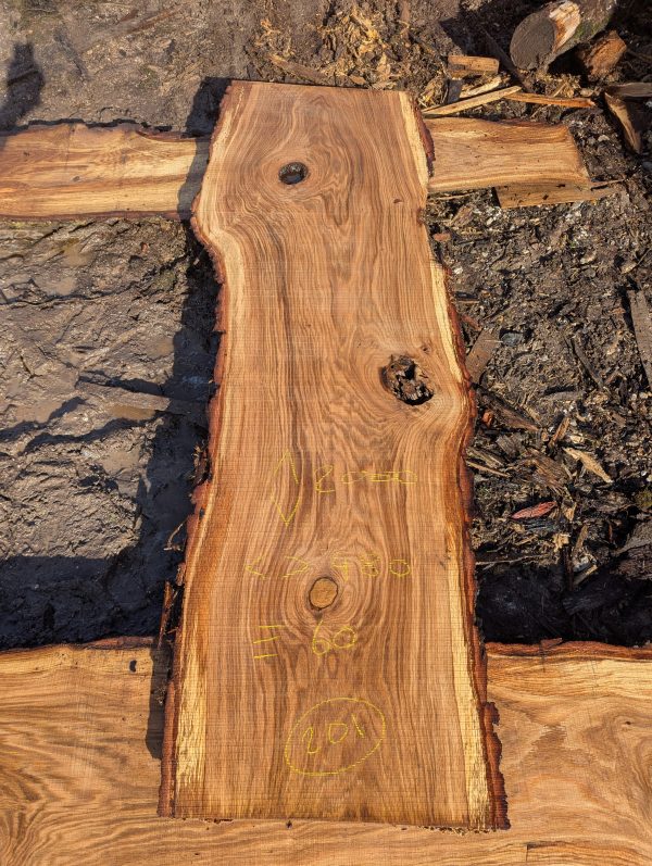 Oak 201