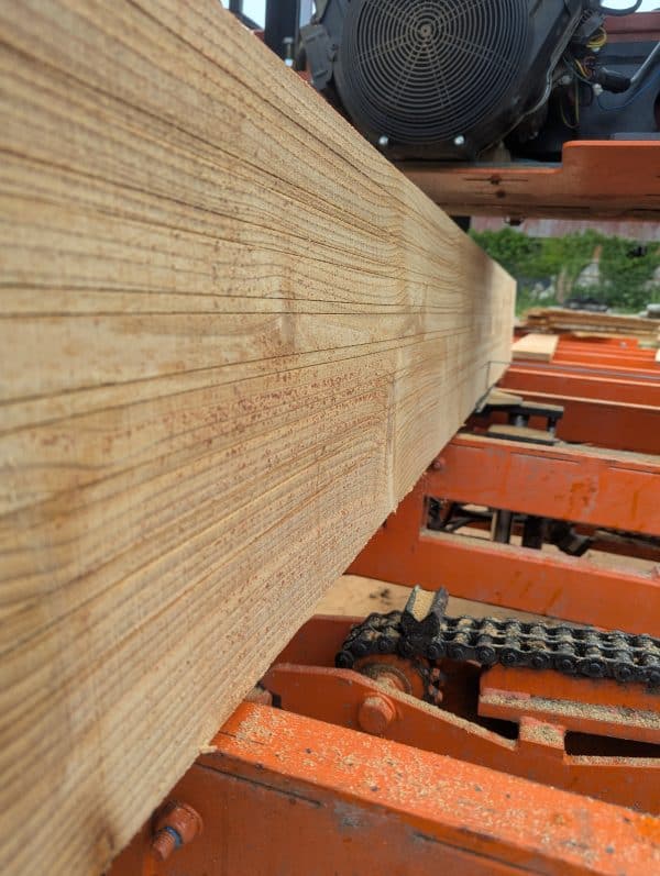 Cut to Order Larch