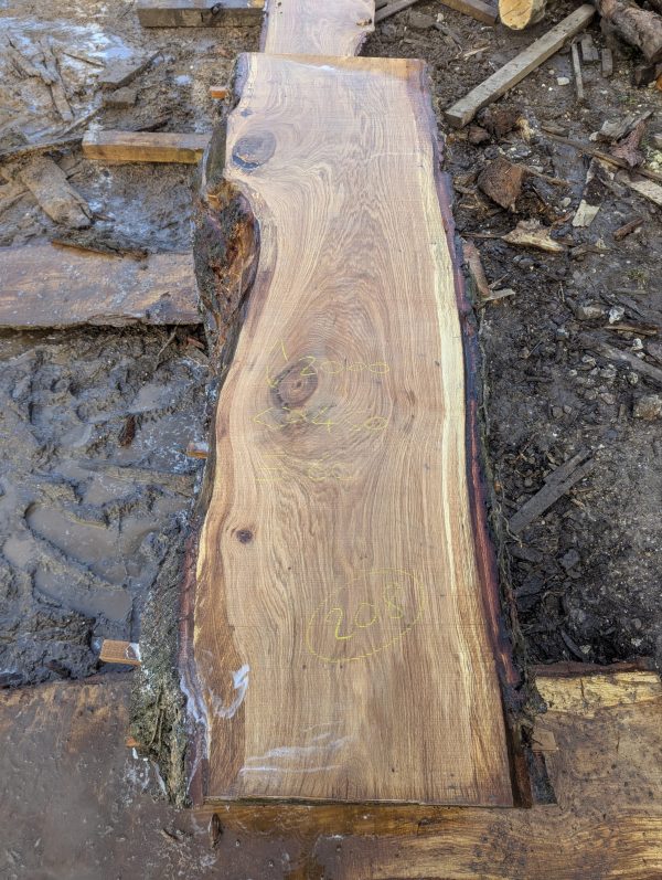 Oak 208