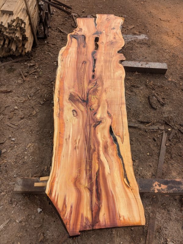 Yew 253