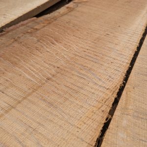 English Oak