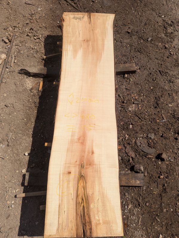 Cobley Norway Maple 277