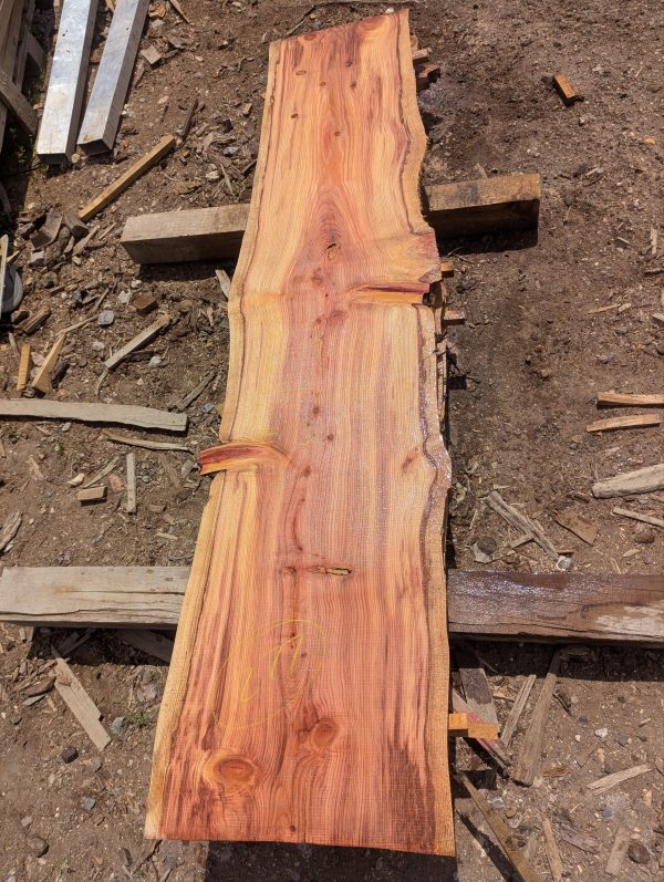 Sequoia 277