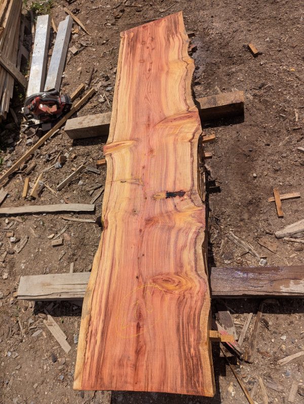 Sequoia 278