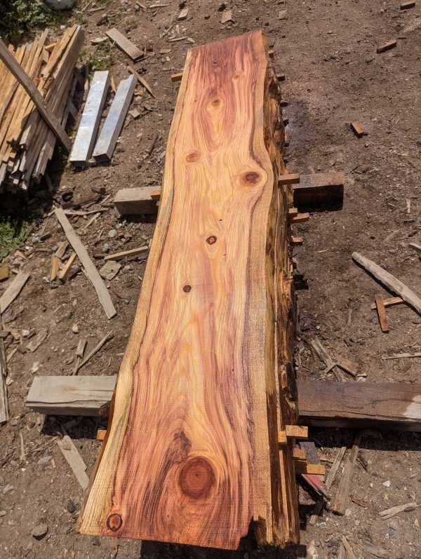 Sequoia 282