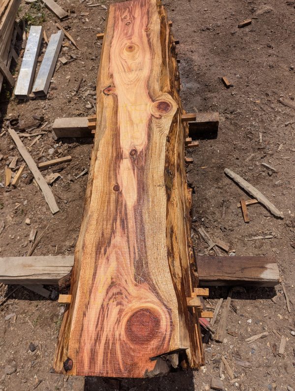 Sequoia 283