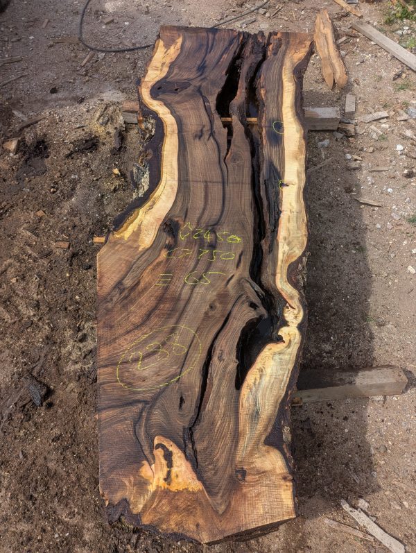 Chalke Valley Walnut 288