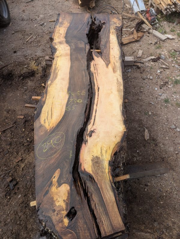 Chalke Valley Walnut 290